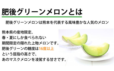 ＜ R8年熊本地震復興支援 ＞肥後グリーンメロン 2玉 （約3～4kg） めろん 果物 くだもの フルーツ 国産 九州 熊本県 熊本市 常温 【2027年5月下旬～7月下旬迄順次発送予定】