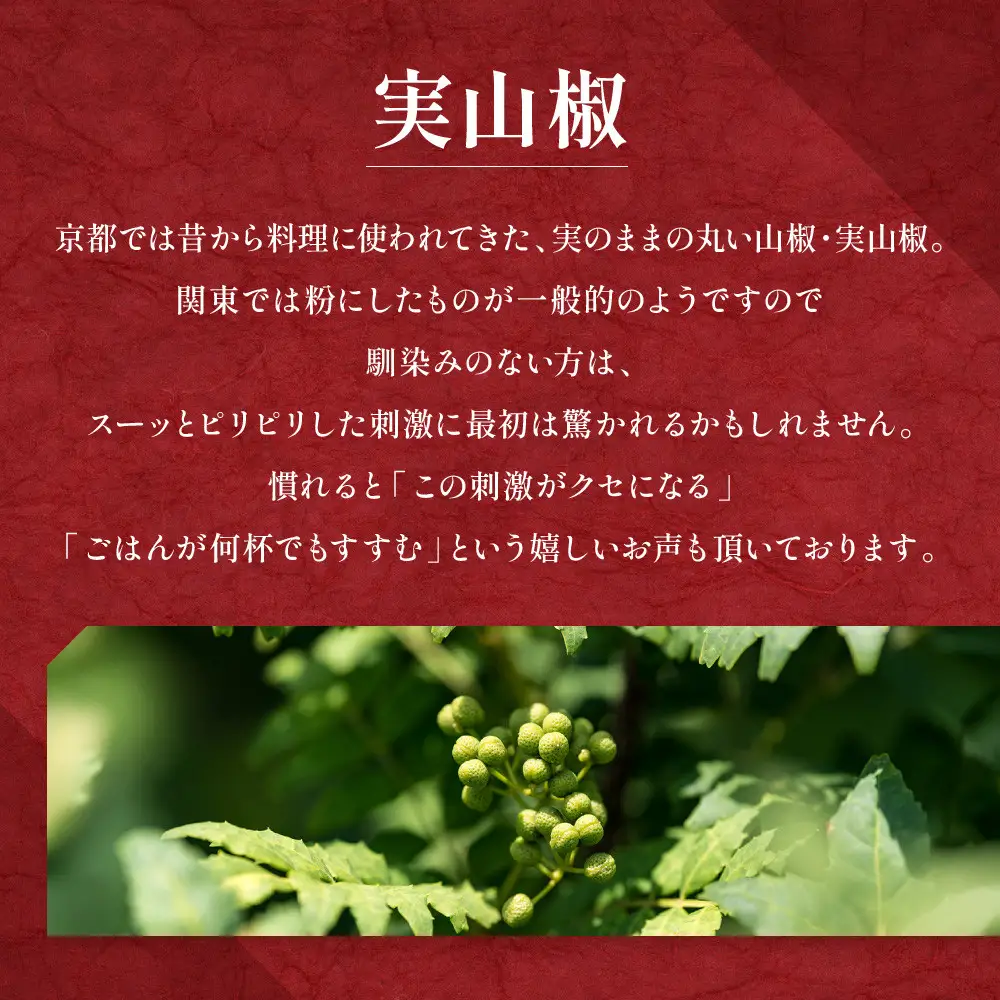 【はれま】チリメン山椒 96g(48g×2袋)｜京都 ちりめん山椒発祥 有名店 保存料無添加 人気セット