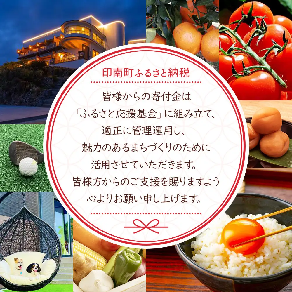 かえるのまち 印南町 ご当地キャラクター カッくんぬいぐるみ
