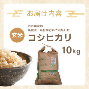 【令和7年産米 数量限定】古谷農産の無農薬・無化学肥料で栽培したコシヒカリ（玄米10キロ） ｜米 コメ  10kgコシヒカリ こしひかり 農家直送 産地直送 産直