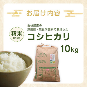 【令和7年産米 数量限定】古谷農産の無農薬・無化学肥料で栽培したコシヒカリ（精米10キロ） ｜米 コメ  白米 10kg コシヒカリ こしひかり 農家直送 産地直送 産直