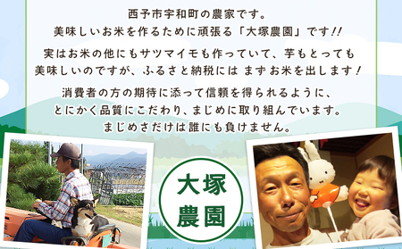 新米＜令和8年産 コシヒカリ 10kg＞国産 愛媛県産 宇和町産 宇和米 こしひかり お米 米 コメ こめ 白米 精米 ご飯 新鮮 10キロ 特産品 大塚農園 愛媛県 西予市【常温】『2026年10月・11月頃から順次発送予定』UOT0003