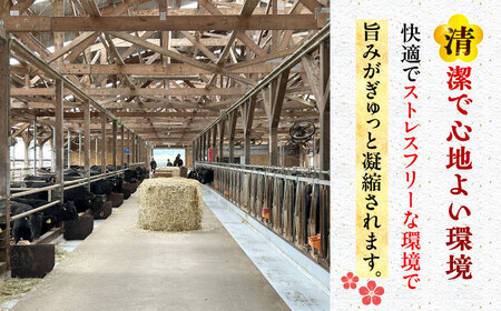 五島列島産 黒毛和牛 すき焼き用 赤身 500g 五島市/山口Farm[PGJ009]