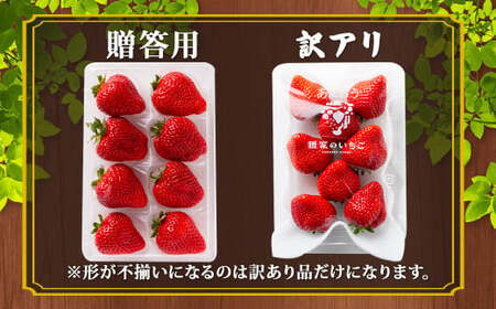 完熟あまおう 贈答用 2パック 合計約500g～820g 【2027年1月上旬～3月上旬までに出荷予定】 いちご 苺 イチゴ ベリー 果物 フルーツ お取り寄せ デザート おやつ
