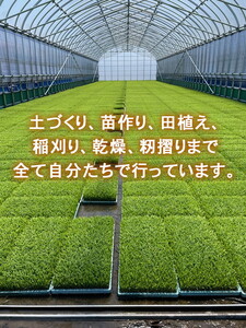 R7年産コシヒカリ10kg（5kg×2）｜射水市 ライスファーマー山上 農家直送 射水の美味しいお米 精米 ※離島への配送不可