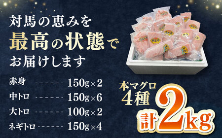 【1週間以内発送】対馬産 本マグロ 4種 計2kg（赤身/中トロ/大トロ/ネギトロ）[WAH027] まぐろ トロ 中とろ スピード発送 最速発送 最短発送