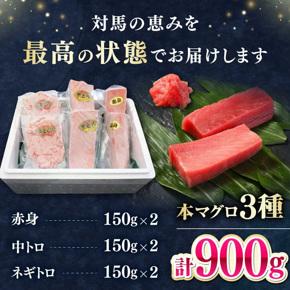 【1週間以内発送】対馬産 本マグロ 3種 計900g（赤身/中トロ/ネギトロ）[WAH029] まぐろ トロ ねぎとろ スピード発送 最速発送 最短発送