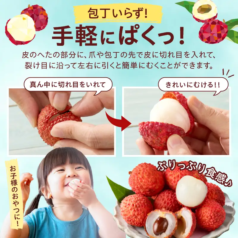 先行予約 希少 国産 綾 生ライチ 2種 食べ比べ セット 数量限定 果物 フルーツ くだもの 国産ライチ 2027年 トロピカルフルーツ 南国フルーツ 冷蔵 高級 デザート ギフト 贈り物 プレゼント ご褒美 おすすめ 産地直送 宮崎県 送料無料 【JA綾町】_A0114-2342