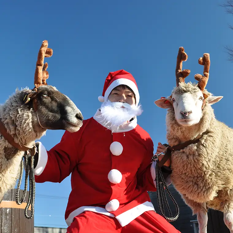 マザー牧場　クリスマストレイルラン招待（チームリレー３名分）