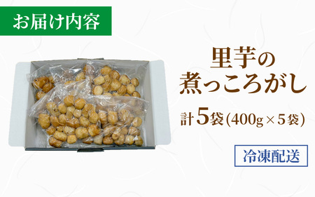 【福井・大野の味】上庄里芋の煮っころがし(真空)400g×5袋  [A-054043]