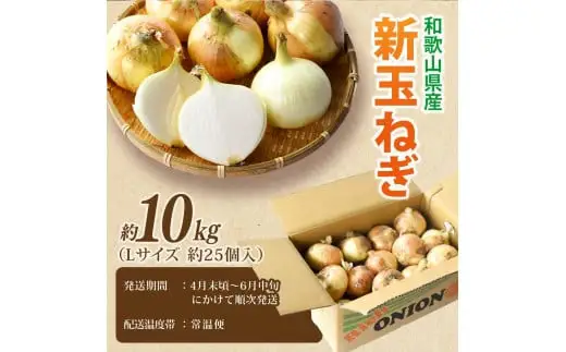 和歌山県産新玉ねぎ約10kg　Lサイズ 約25個入り　こだわり農家厳選 | 人気 おすすめ たまねぎ 玉ねぎ 玉葱 タマネギ オニオン スープ サラダ 国産 野菜 新鮮 ビッグサイズ 大きい BBQ ※2027年4月末頃～6月中旬に発送予定【kgr033】