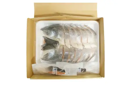 【北海道根室産】時しらず鮭切身1.5kg×1P・1切×2P F-42020