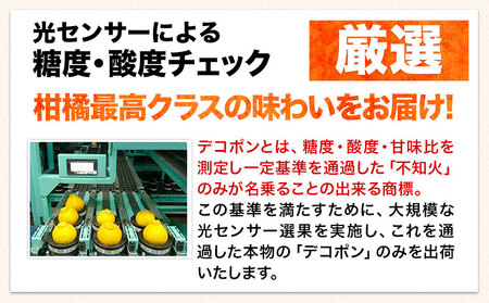デコポン 訳あり 約2kg デコポン 熊本