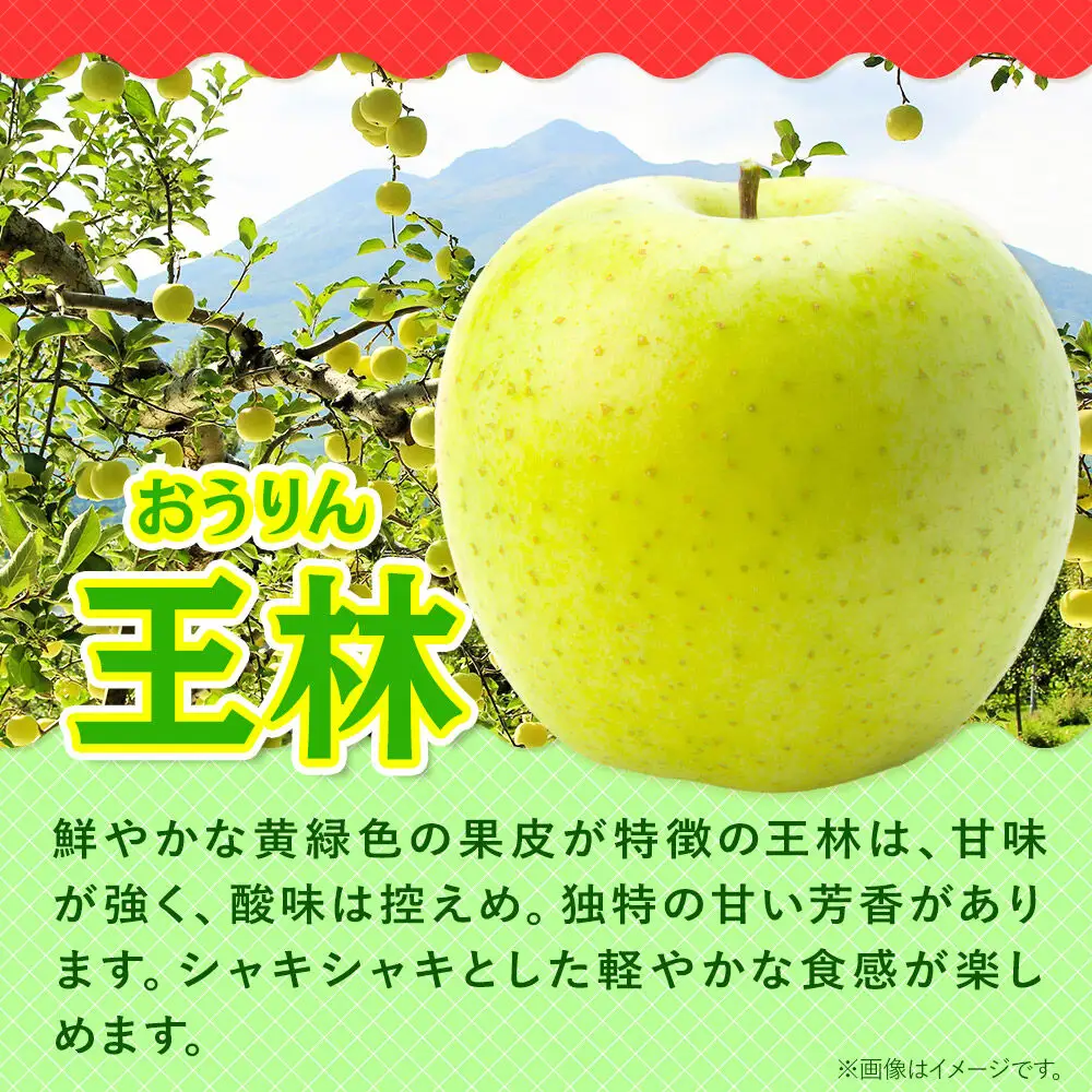 りんご サンふじ・王林 詰め合わせ 贈答用 約10kg【1月発送】りんご