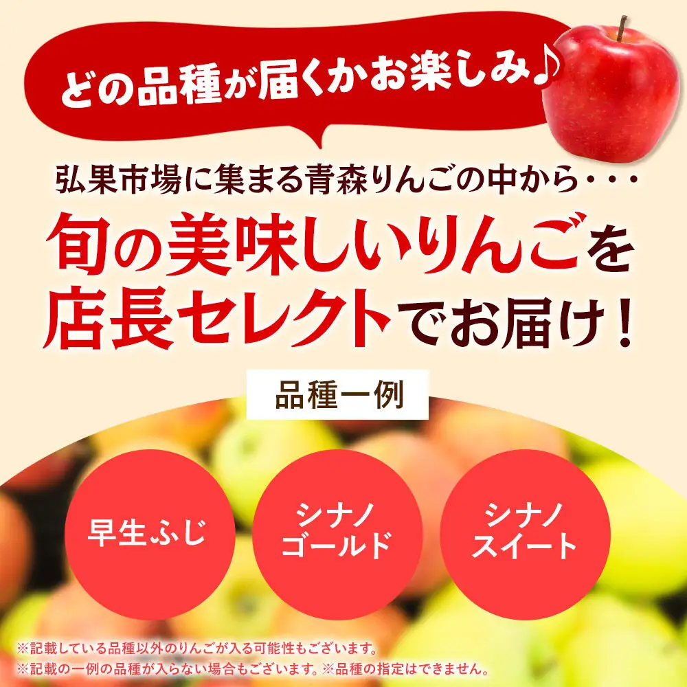 【27年1月発送】りんご 家庭用 訳あり 旬のりんご 品種おまかせ 約5kg 2品種～4品種