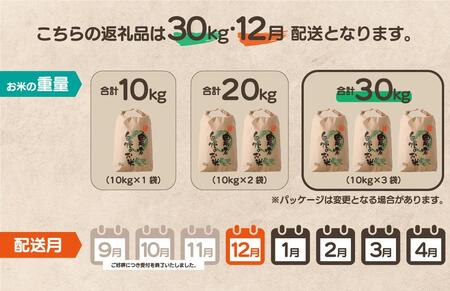 【先行予約】令和7年産 鏡野町産 きぬむすめ 精米30kg（10kg×3袋）［2025年12月発送］【035-a006-12】
