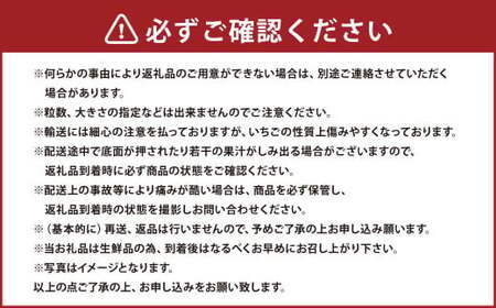 春のあまおう(2L・2A・G規格以上 6パック)【数量限定】 あまおう いちご イチゴ 苺 果物 くだもの フルーツ【2027年3月上旬～4月下旬発送予定】