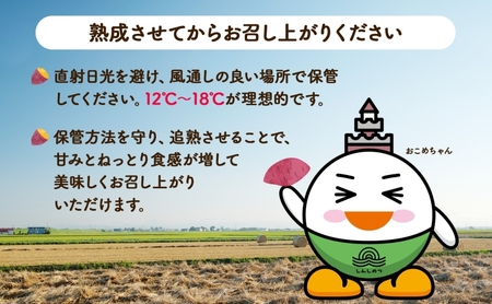 さつまいもシルクスイート新しのつ産 北海道産 さつまいも【計2kg】【送料無料】