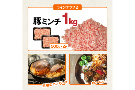 豚肉 宮崎県産豚肉 バラエティ セット 計4.5kg