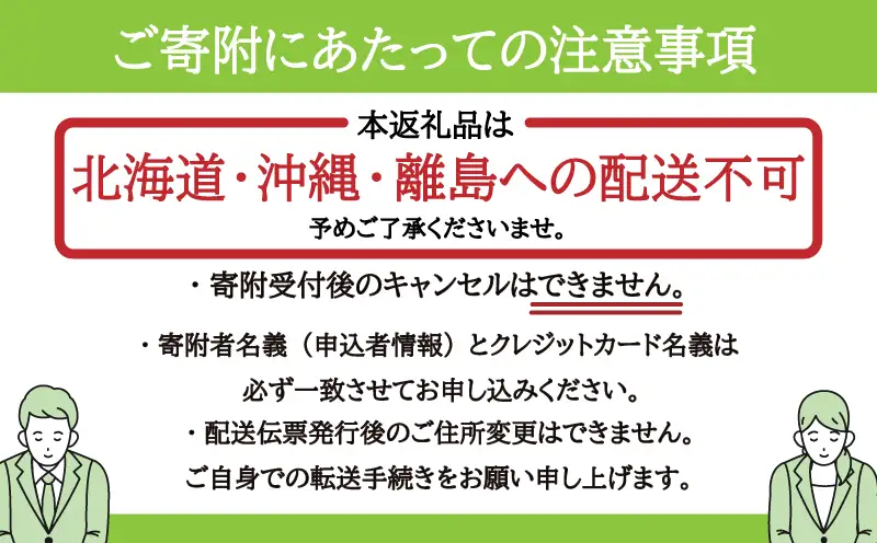 すもも 「貴陽」 2kg以上 【2026年発送】 すもも フルーツ