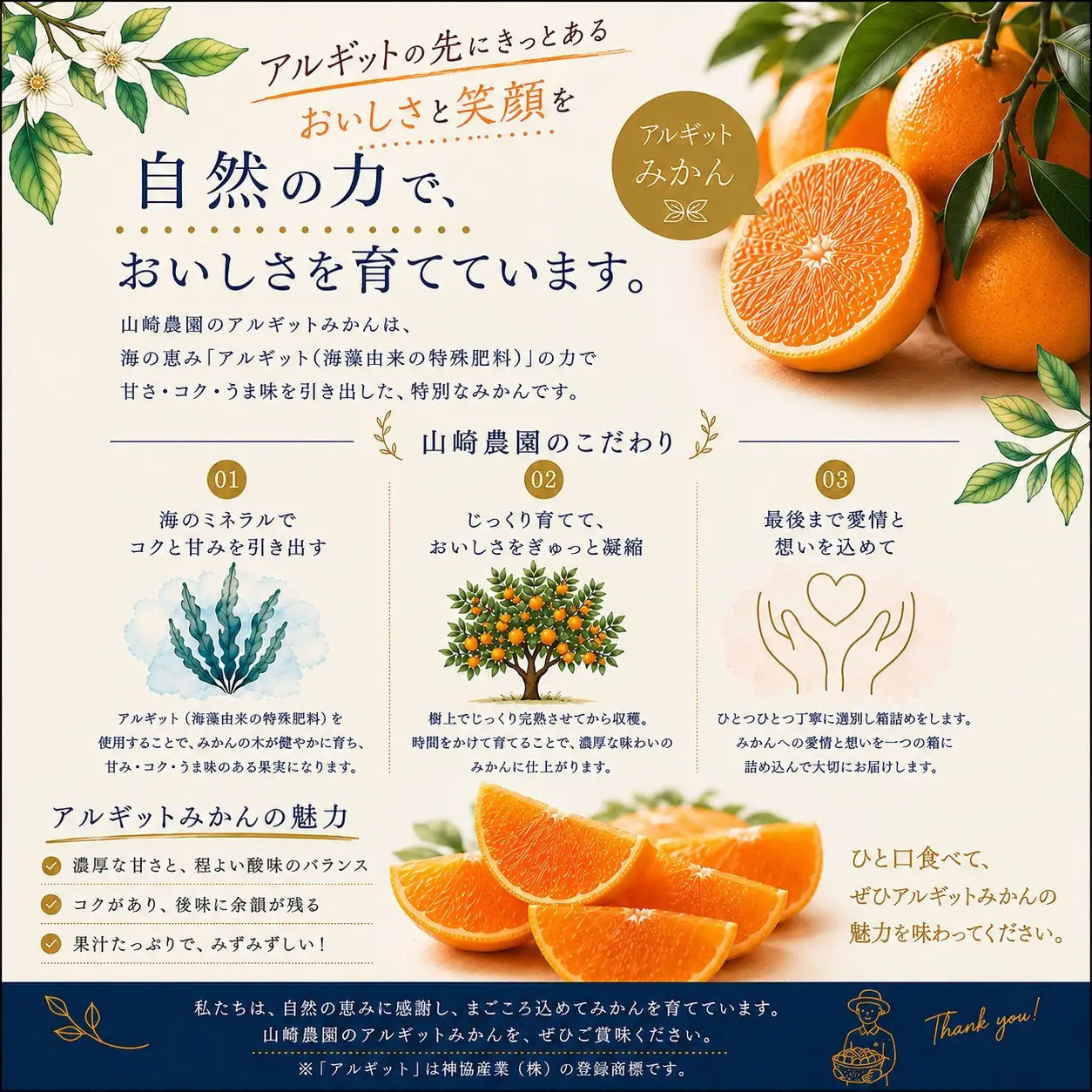 訳あり ネーブルオレンジ 約5kg サイズおまかせ アルギット オレンジ