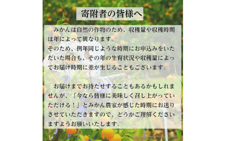 有田みかん「風のしるし」（約5kg）(B1051-1)