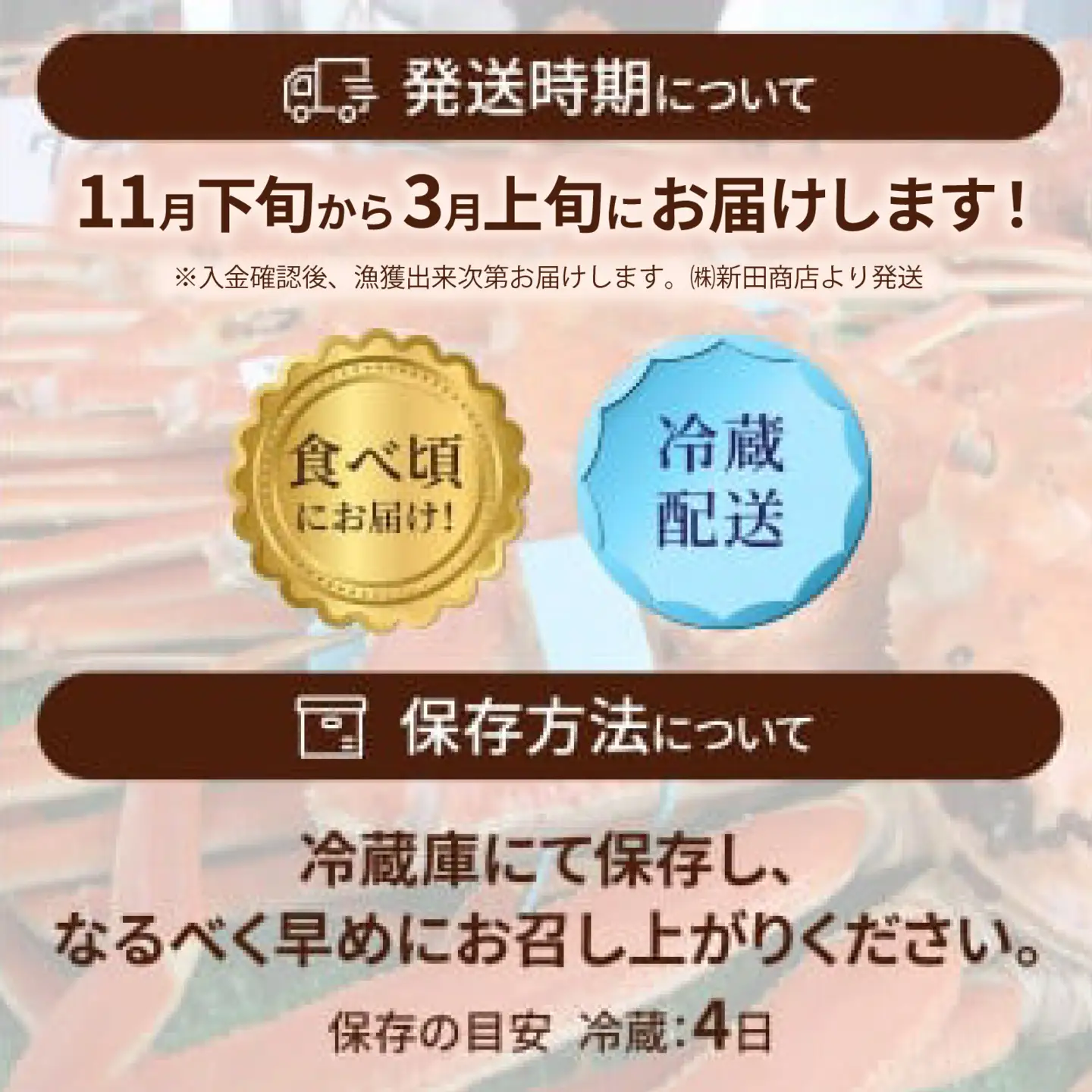 【先行予約】加能ガニ 1杯（800ｇ前後）| かに