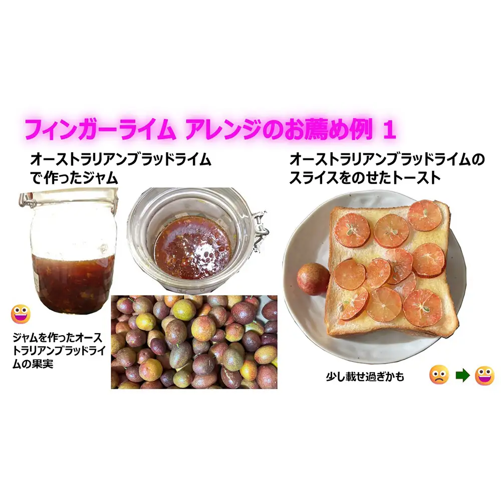 No.504 フィンガーライム　200g