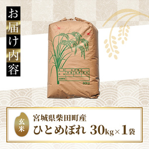 ＜先行予約！2026年11月から順次発送予定＞【令和8年産 新米】柴田町産 ひとめぼれ ＜玄米＞ 30kg お米 おこめ 米 コメ 白米 ご飯 ごはん おにぎり 宮城米 お弁当 【下名生ファーム】 sh123