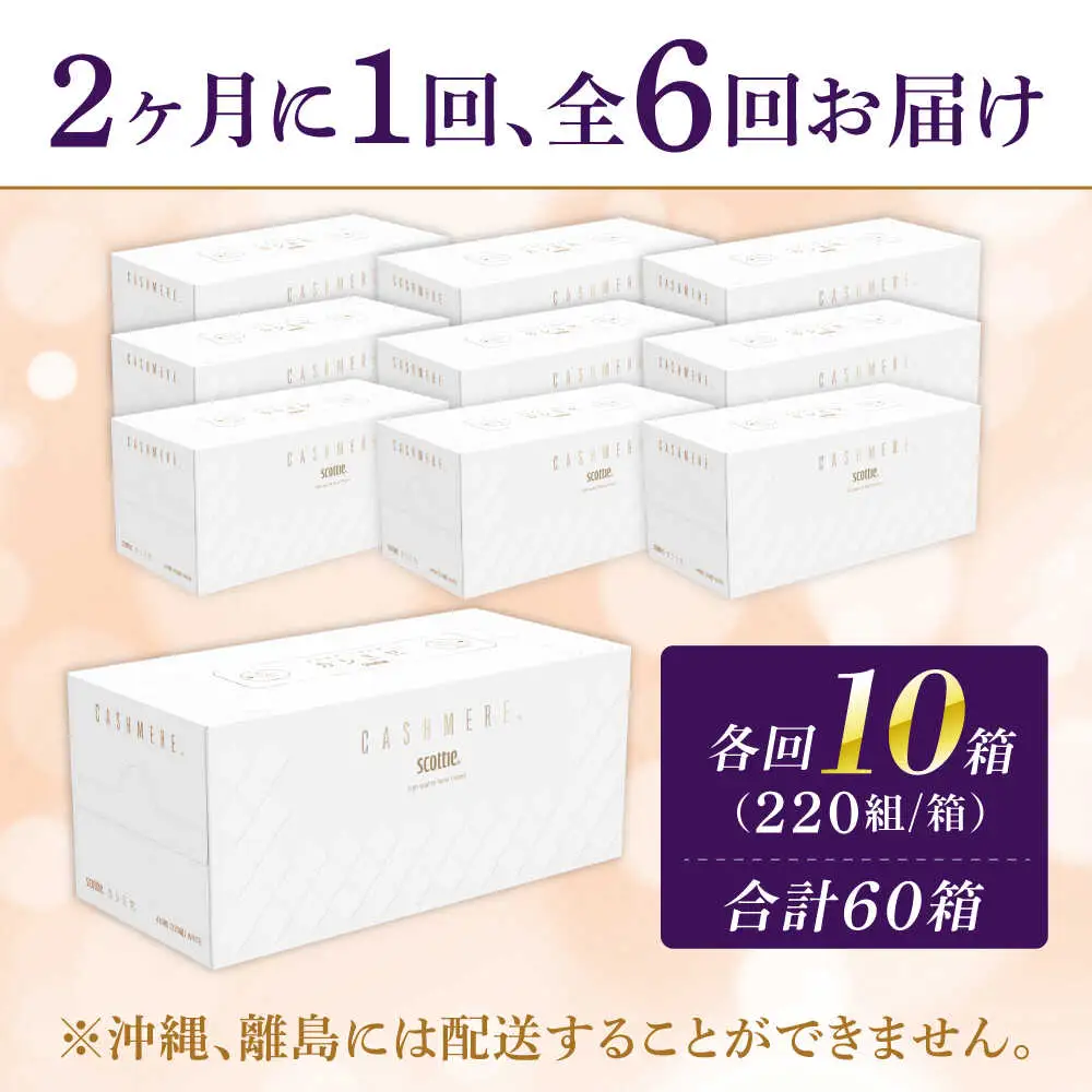 【全6回定期便(2ヵ月に1回)】カシミヤ スコッティ 10箱 ティッシュ ペーパー ティッシュペーパー [BDAM034]