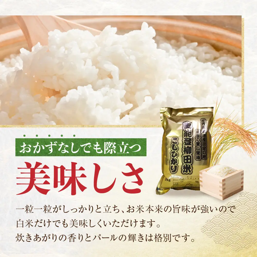 【復興支援】【令和7年産】奥能登柳田米 Ｅこしひかり 3kg