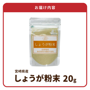 しょうが 粉末 N048-YA0494