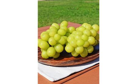 ぶどう シャインマスカット 訳あり家庭用 2kg 4～6房 ぶどう