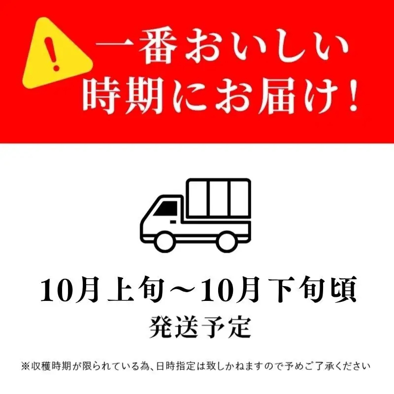 ぶどう 訳あり 家庭用 クイーンルージュ 2kg 4～6房 ぶどう