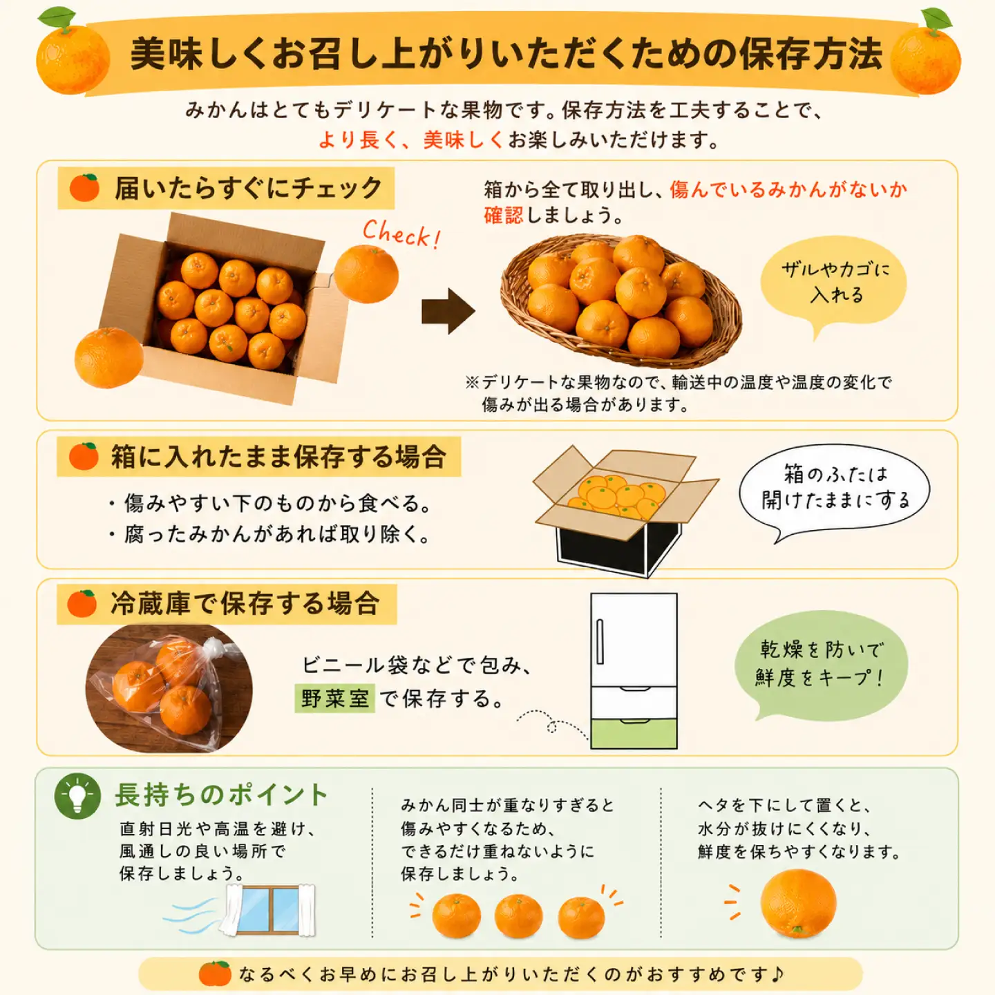 【2026年12月中旬-発送】【訳あり】家庭用 南高みかん 5kg / みかん ミカン 蜜柑 果物 フルーツ / 南島原市 / 南高果樹農業協同組合[SGI001]