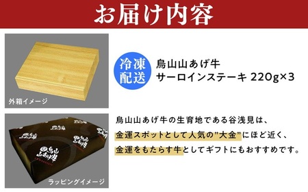 37-2　烏山山あげ牛サーロインステーキ　220ｇ×３枚