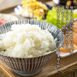 新米 令和8年産 みずかがみ 白米 10kg 2026年産 新米 新米 新米 新米 新米
