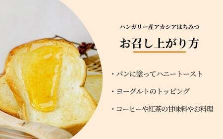 はちみつ ハンガリー産 アカシア蜜 1kg | はちみつ 蜂蜜 埼玉養蜂