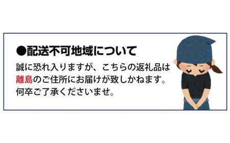 米 岡山県産精米 令和7年産きぬむすめ無洗米10kg 【tkns008-01-cho】