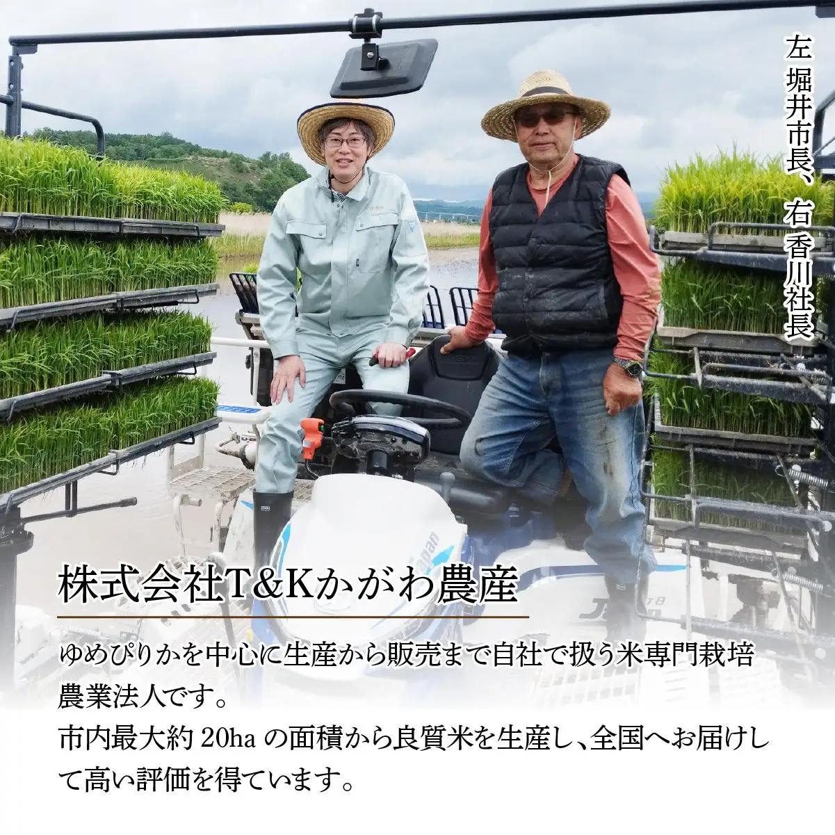 ＜先行予約＞【3回定期便】令和8年産 ゆめぴりか 精米 5kg【tkk-010_03】