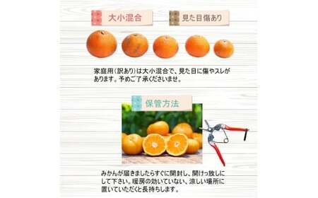 甘夏柑 家庭用 2.5kg+250g（痛み補償分） 光センサー / みかん 甘い 訳あり 柑橘 晩柑 和歌山 有田 ※4月上旬～6月下旬頃に順次発送 ※北海道・沖縄・離島への配送不可 【ikd023-c-2d5A】
