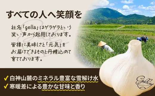 あきたしらかみにんにく 冷凍ペースト 2.5kg（約500g×5袋）　150P3202【 gella】