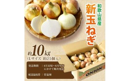 和歌山県産新玉ねぎ約10kg　Lサイズ 約25個入り　こだわり農家厳選！人気 おすすめ たまねぎ 玉ねぎ 玉葱 タマネギ オニオン スープ サラダ 国産 野菜 新鮮 ビッグサイズ 大きい BBQ ※2027年4月末頃～6月中旬に発送予定【kgr033】 