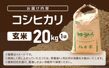 【先行予約】米 令和8年産 コシヒカリ 20kg（玄米）【2026年10月上旬以降順次発送予定】【大容量 ブランド 玄米】 [m76-d003]