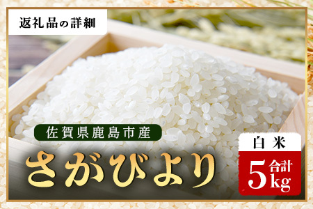 先行受付 ＼生産者直送／ さがびより 白米5kg 佐賀県 鹿島市 C-153