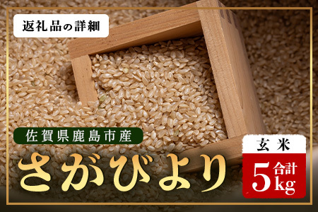 【鹿島市産】先行受付 ＼生産者直送／ さがびより 玄米5kg 佐賀県鹿島市 C-152