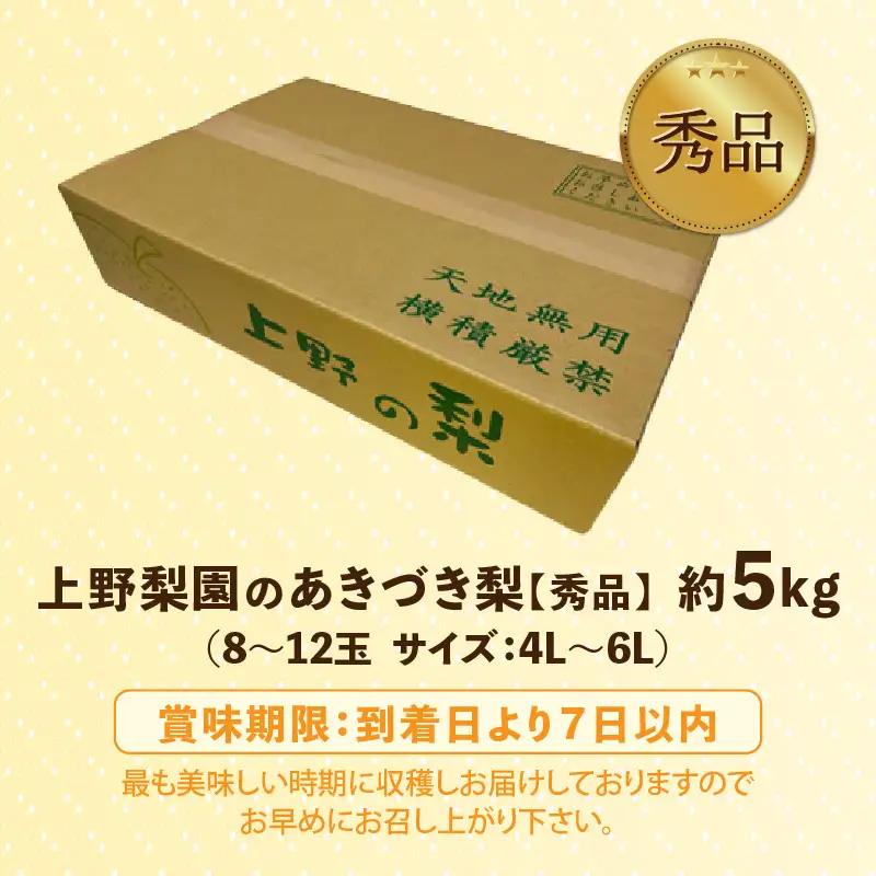 【先行予約】上野梨園のあきづき梨 5㎏箱入り（8～12玉入） / 梨園直送【上野の梨】 / 期間限定 果物 フルーツ 農家直送 シャキシャキ もぎたて 旬 お取り寄せ ※2026年9月下旬より順次発送 [aw077-a027]