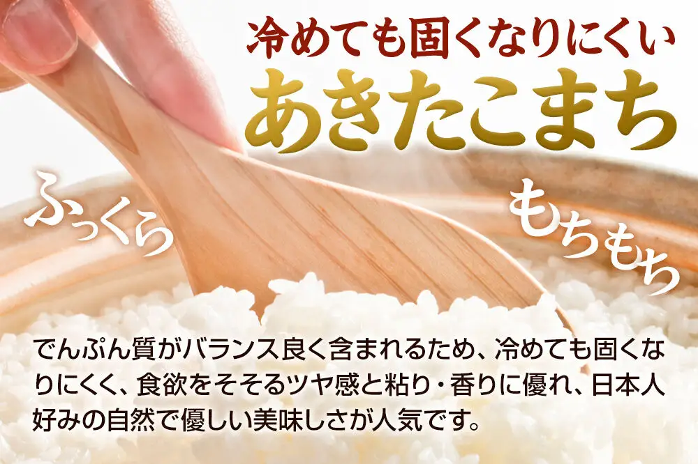 《令和8年産 新米受付》《定期便12ヶ月》【白米】秋田県産 あきたこまち 5kg
