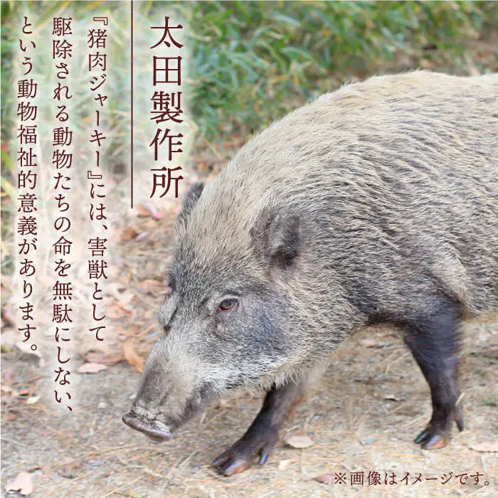 ペットフード イノチップス3袋セット NCF002 ペットフード