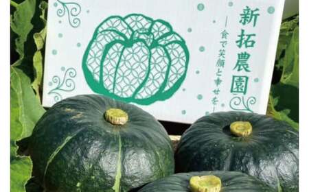かぼちゃ 5kg以上 Lサイズ 野菜 南瓜 かぼちゃ